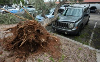 Phoenix was hit by hail and strong winds, damaging vehicles throughout the valley