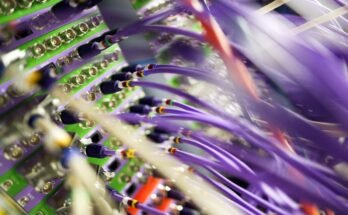 US calls for urgent fixes for widely used software after critical warnings